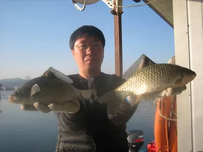 충주 탄금호낚시 월척조황