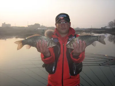 충주탄금호낚시 대물조황