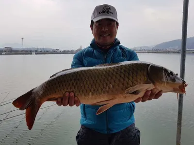 충주 탄금호 낚시조황