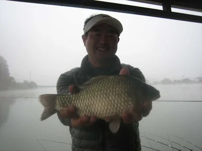 충주 탄금호 낚시조황