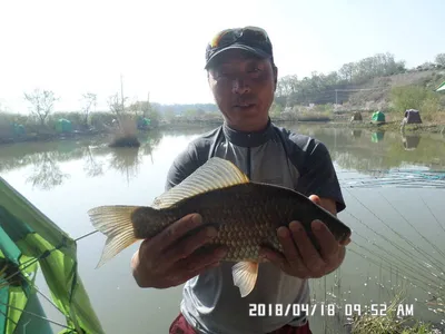 충주탄금호낚시4짜조황