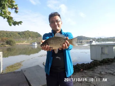 탄금호낚시조황