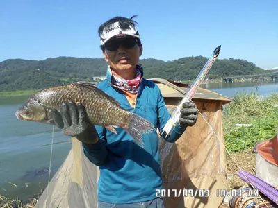 탄금호낚시대물44cm조황