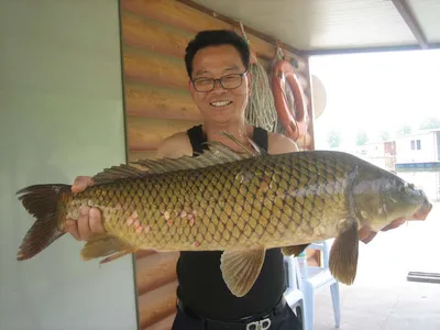 충주 탄금호낚시 대물42cm조황