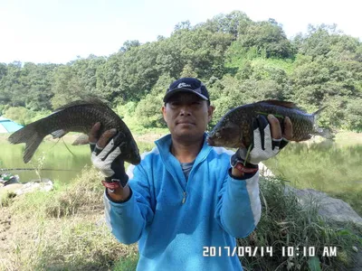 탄금호낚시4짜조황