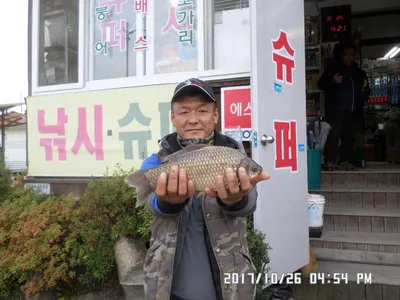 탄금호낚시대물38cm조황