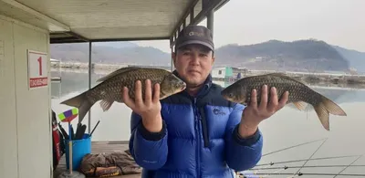 충주탄금호낚시 대물조황