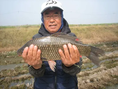 충주탄금호낚시 대물43cm