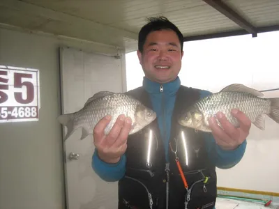 충주 탄금호 낚시조황