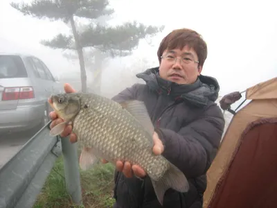 충주탄금호낚시 대물조황