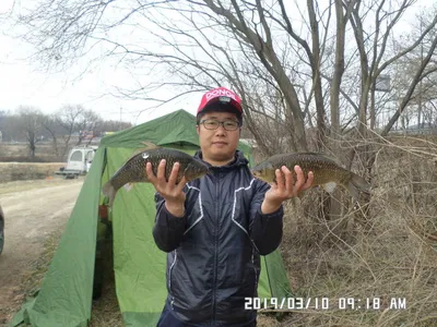 충주 탄금호 낚시조황