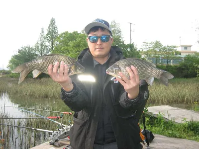 충주탄금호낚시조황