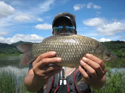 충주탄금호 낚시조황