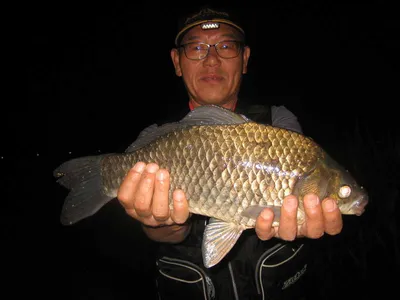 충주탄금호낚시 대물44.5cm조황