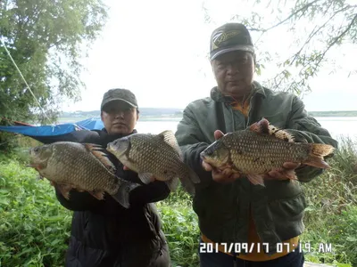 탄금호낚시조황