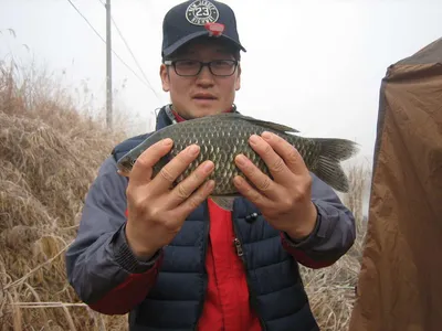 충주탄금호낚시조황