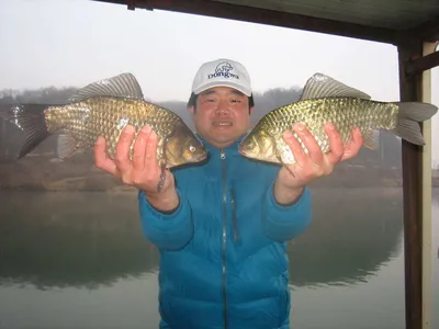 충주탄금호낚시 월척36cm마리수조황