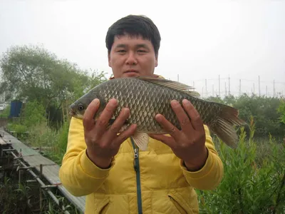 충주탄금호낚시대물41cm조황