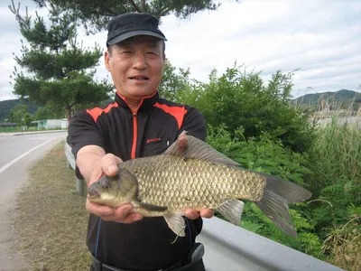 충주탄금호낚시대물4짜소식