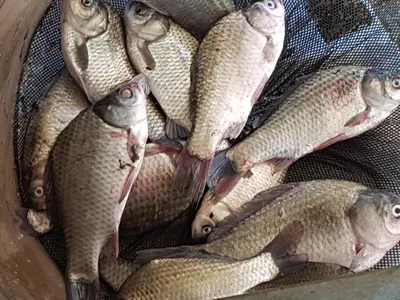 아름다운계곡속에자리잡은장계지에서