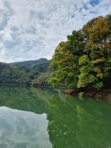 사오리 낚시터 조황정보
