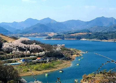 ★★★ 봄 향기에 취해 43대물을 만나다. ★★★