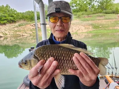 돌감낚시터 붕어조황입니다.