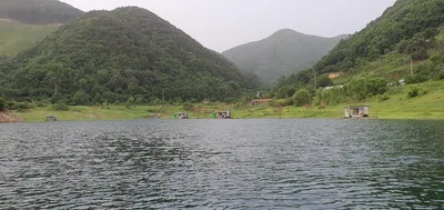 용곡 김기호 낚시터 사짜조황이 이어지고 있습니다