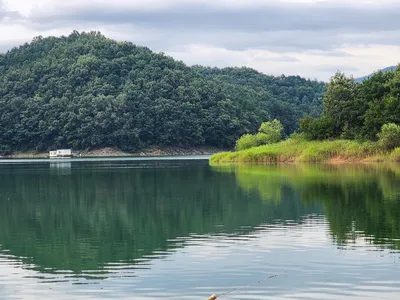 청풍 한버들 4짜및 허릿급 조황입니다
