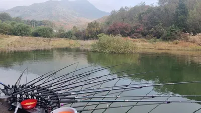 솔낚시터 주말 조황소식 입니다.