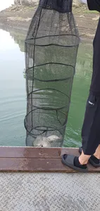 신매낚시터 6월 16일조황 