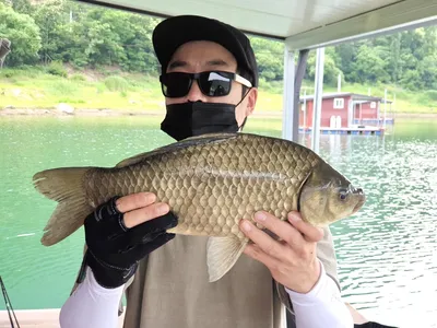 솔낚시터 사짜와 허리급 대물 조황소식입니다.