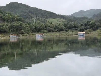 청풍 실리곡낚시터 42cm 조황입니다.