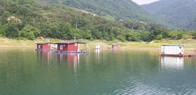 솔낚시터 허리급 조황정보 입니다