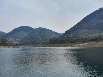 용곡 김기호 낚시터 윌척조황과 마릿수 조황입니다