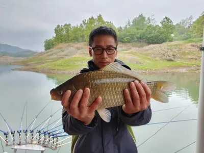 돌감낚시터 4짜 및 붕어조황