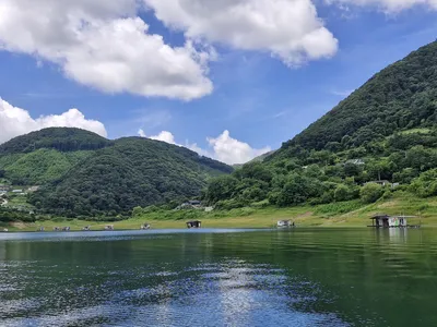 용곡 김기호 낚시터 조황정보 입니다