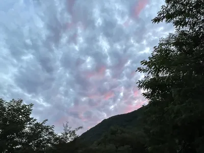 솔낚시터 추석연휴 조황소식입니다!