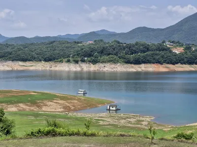 용곡 김기호 낚시터 조황정보 입니다