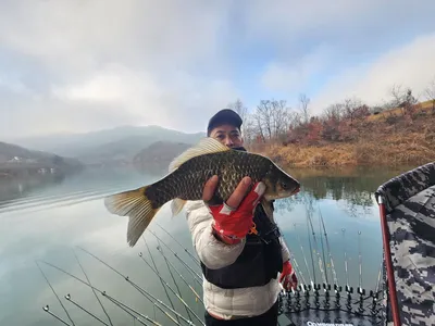 돌감낚시터 붕어조황입니다.
