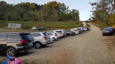 한버들 조황입니다