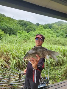 돌감낚시터 붕어조황입니다.