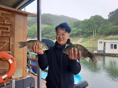 돌감낚시터 조황입니다.