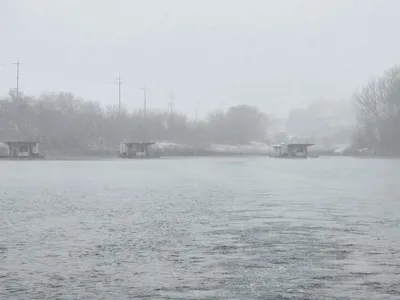 청풍 한버들 조황입니다
