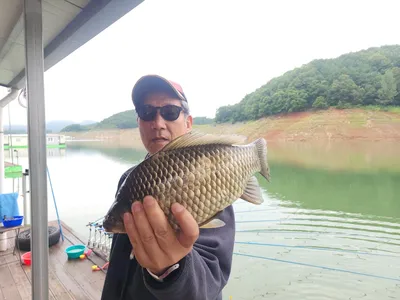 돌감낚시터 조황입니다.