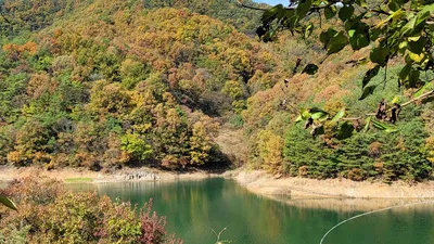 실리곡낚시터  허리급 조황입니다.