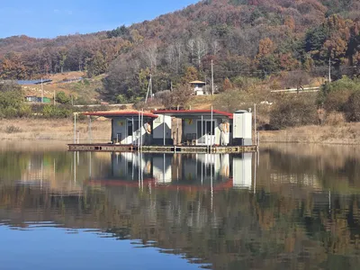 청풍 한버들 조황입니다(호조황)