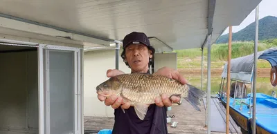 충주호 짱가네낚시터 