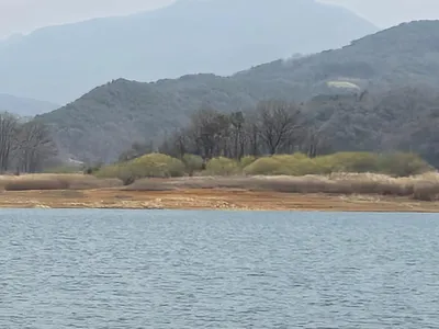 청풍 한버들 조황입니다