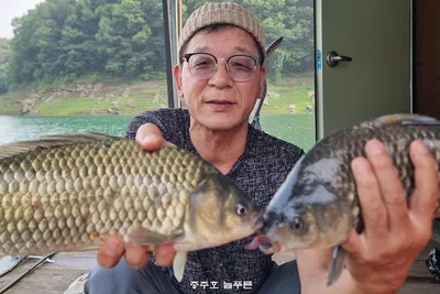 늘푸른 최근 4짜 조황입니다